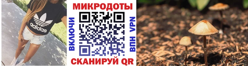 Псилоцибиновые грибы прущие грибы гидра рабочий сайт Пыть-Ях