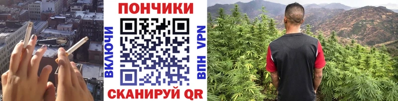 купить закладку Пыть-Ях кракен Марихуана тримм